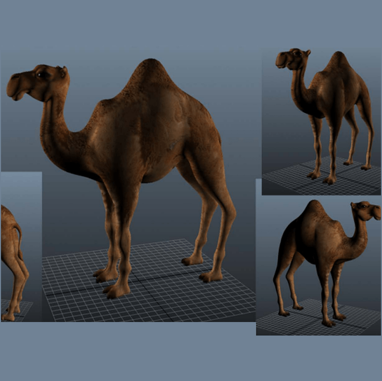 3D Modeling by Mentor